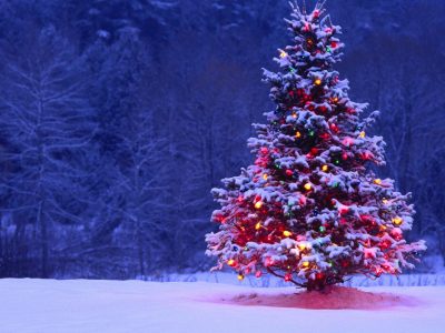 The State of Politics: A Christmas Gift List For State Officials